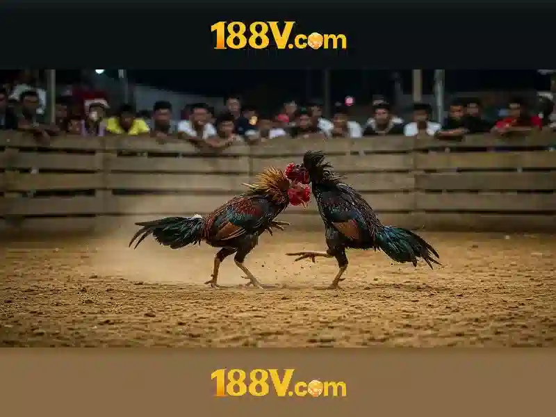 Tải App 188V