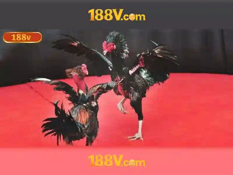Đánh Giá 188V – Trải Nghiệm Slot Thật Sự Tuyệt Vời 2026