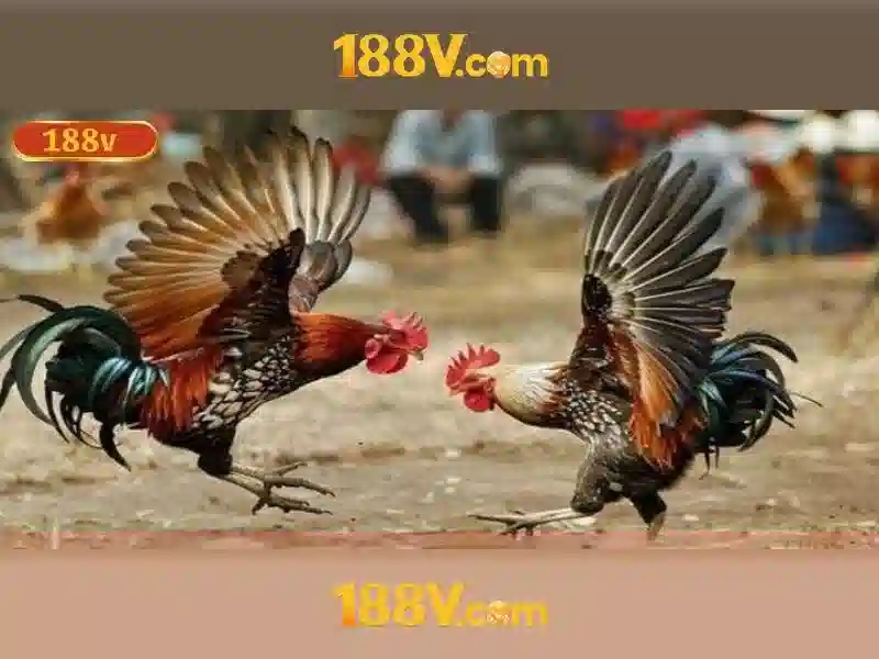 Ưu Điểm Của Tag Slot 188V