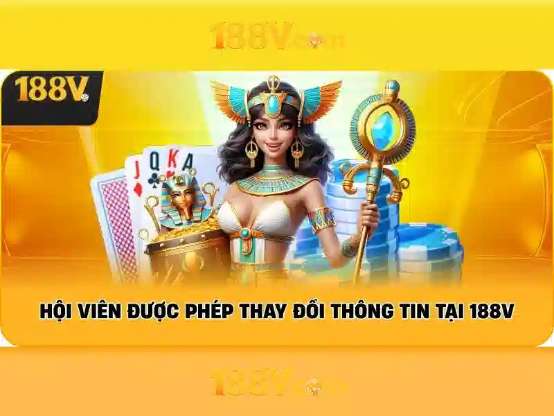 Đánh Giá Từ Người Chơi Thực Tế