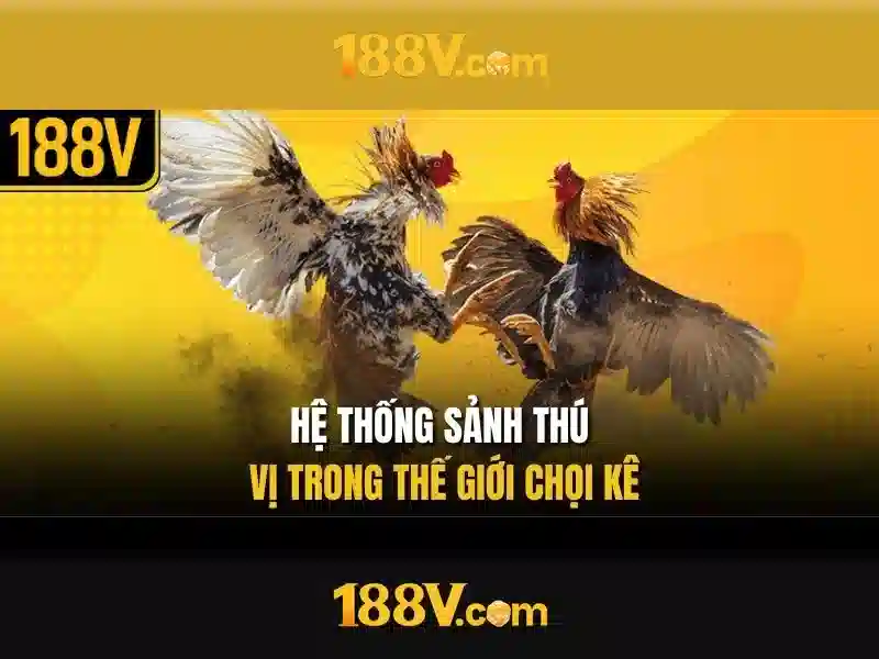 Lý Do Chọn 188V