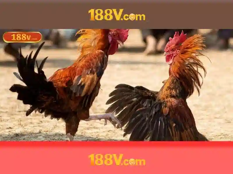 188V An Toàn Không Bị Chặn 2026