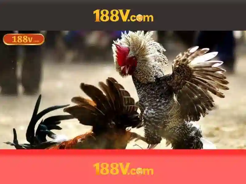 Trải Nghiệm Slot Đỉnh Cao Với 188V