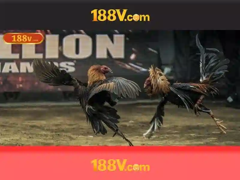 khuyến mãi 188v