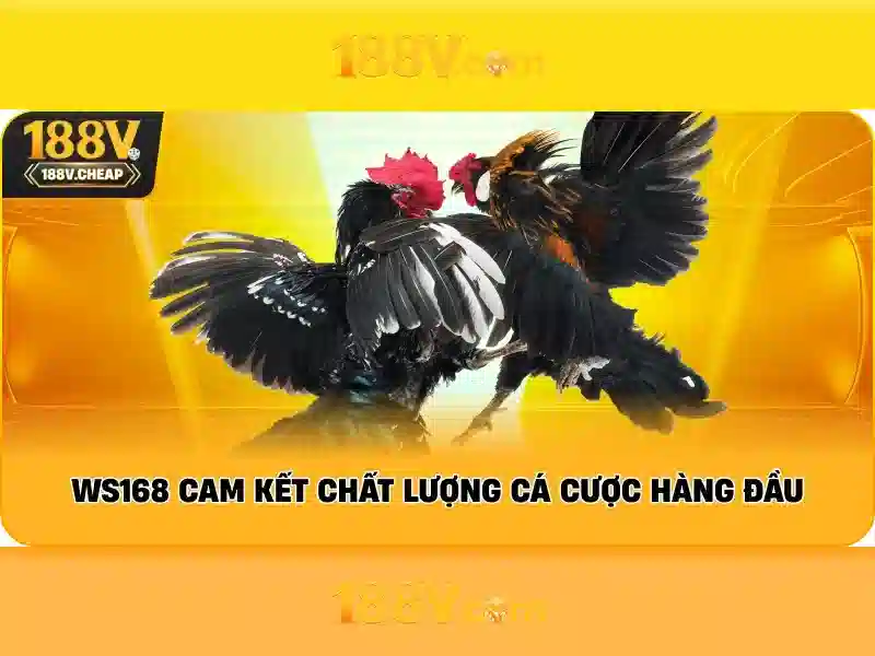 188v – Hướng Dẫn Đăng Nhập 188v Nhanh Chóng, An Toàn Cho Người Chơi Slot 2026