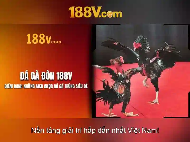 188V cá cược slot không bị chặn