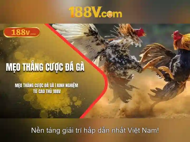 Giới Thiệu Về 188V