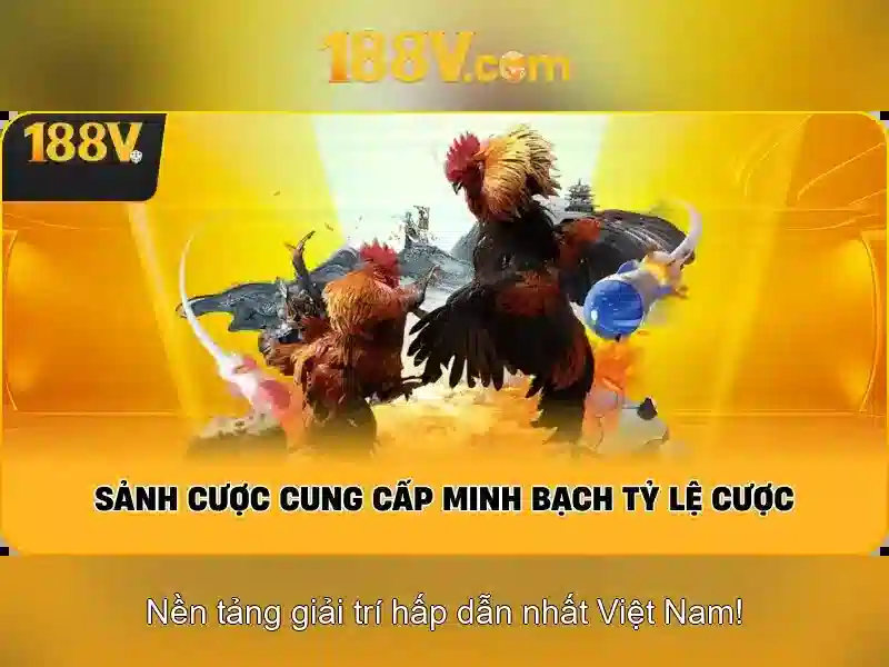 Hướng Dẫn Đăng Ký 188V