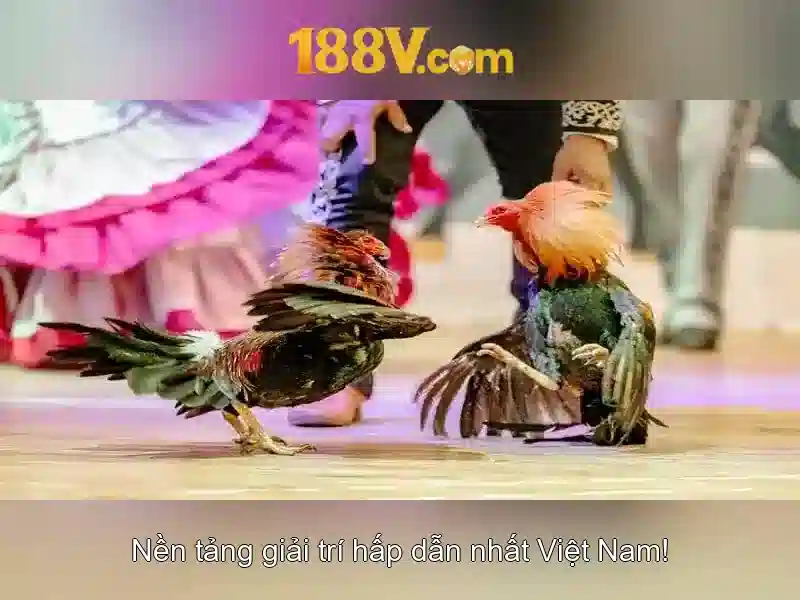 Điều Khoản Slot 188V