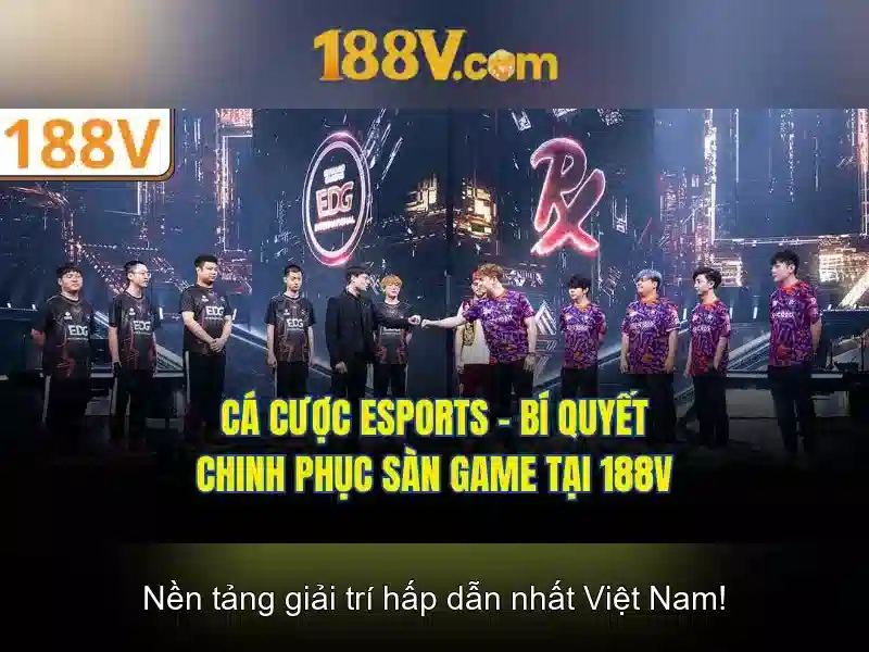 Chương trình khuyến mãi hấp dẫn