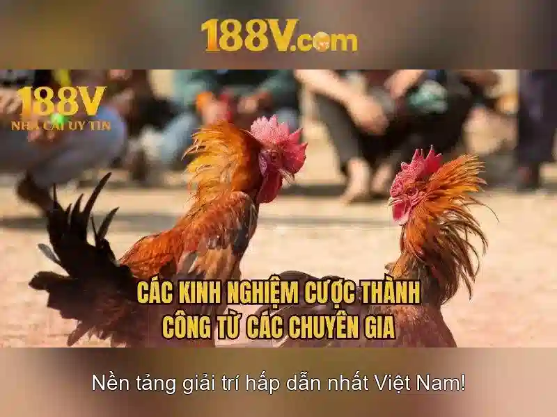 Trải Nghiệm Slot Đỉnh Cao Tại 188V