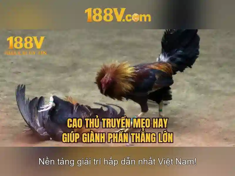 Ưu Đãi 188V – Trải Nghiệm Slot Đỉnh Cao Cho Người Chơi