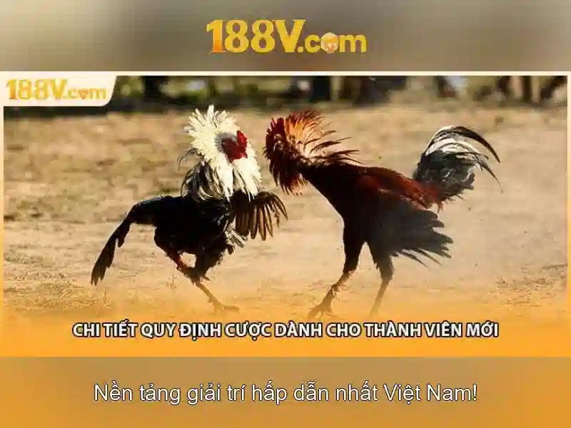 188v có hợp pháp không 2026