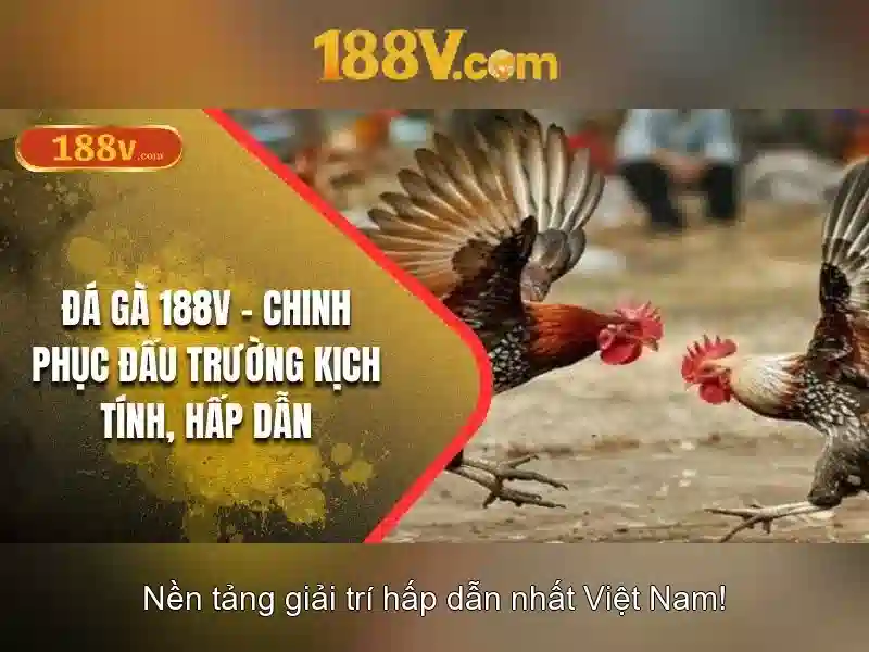 Trải Nghiệm Slot